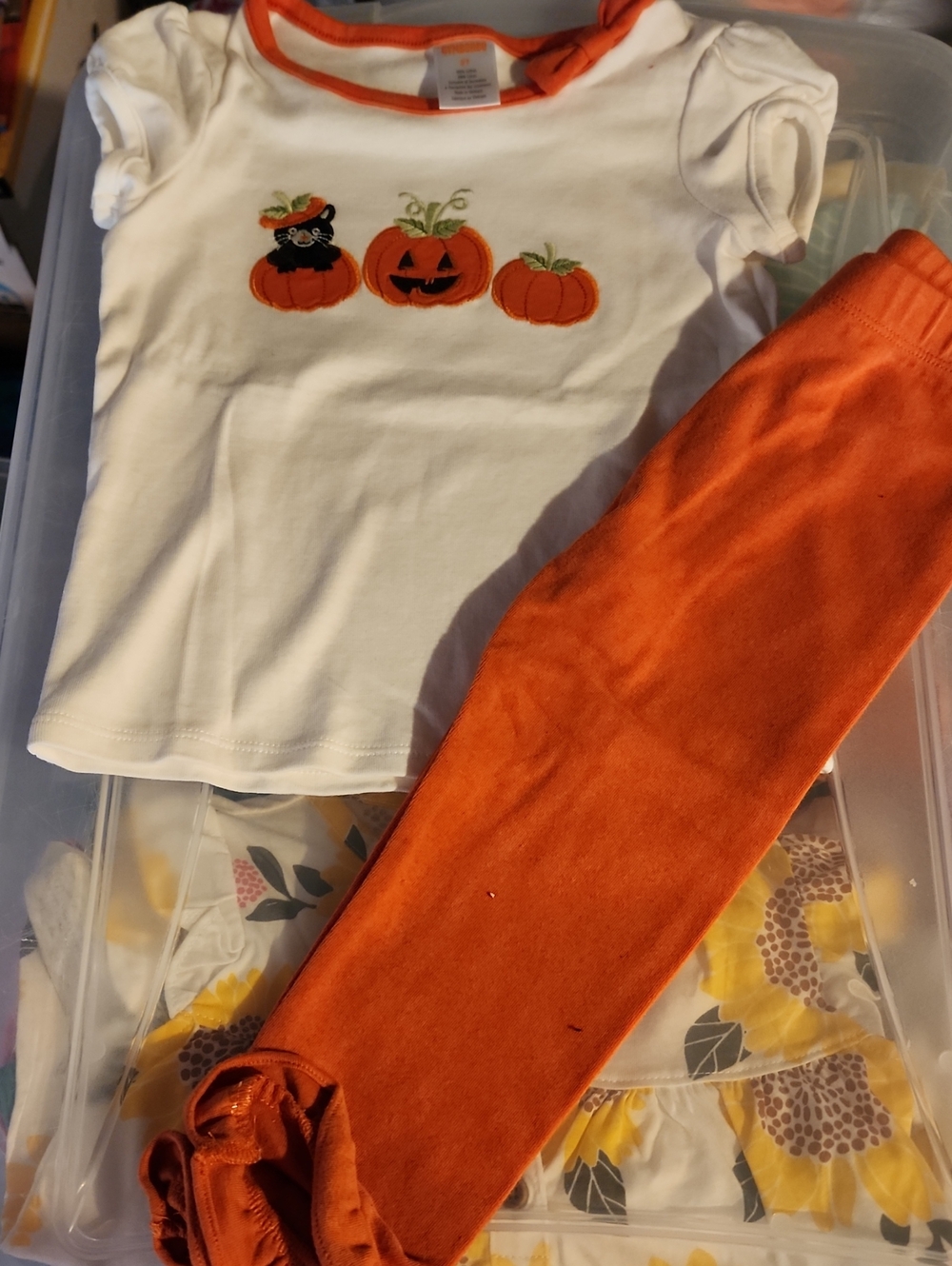 2T Gymboree White Tee with Orange Pumpkin CatAppliqué and Orange Ruffle Leggings